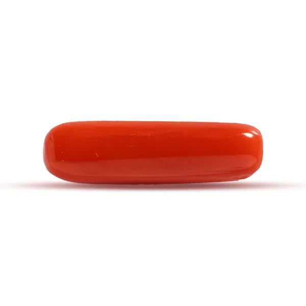 Red Coral - 3.11 carats