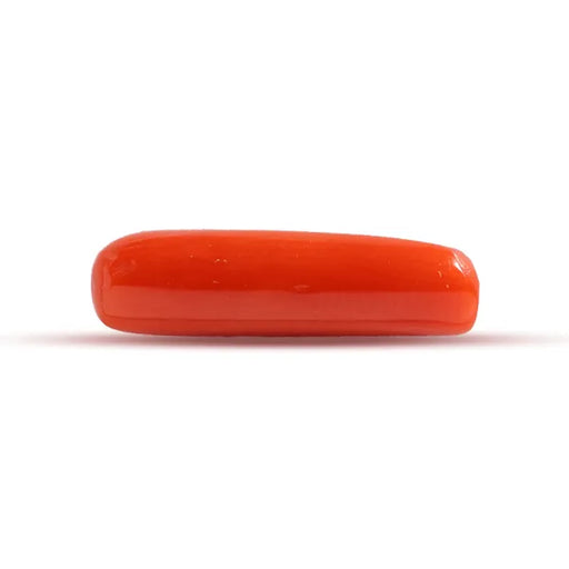 Red Coral - 3.11 carats