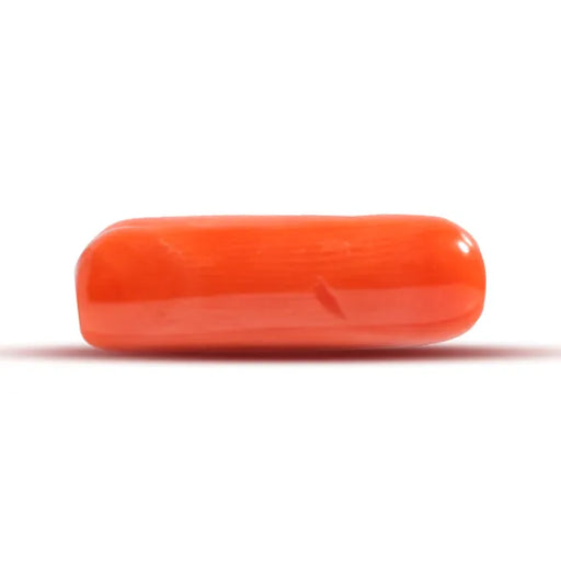 Red Coral - 3.38 carats