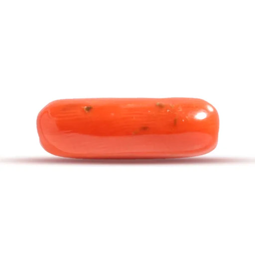 Red Coral - 3.38 carats