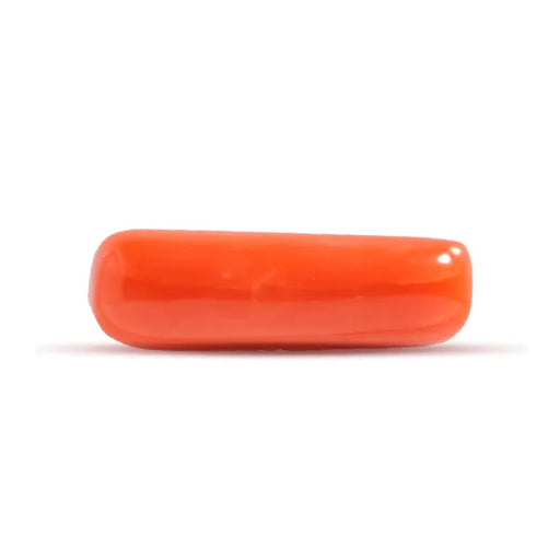 Red Coral - 3.39 carats