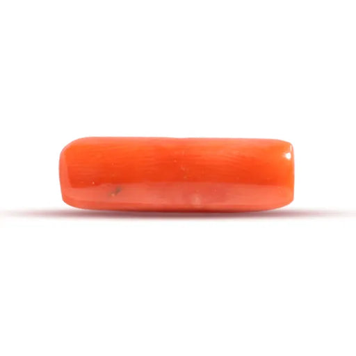 Red Coral - 3.56 carats