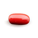 Red Coral - 7.42 carats
