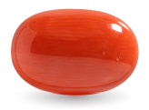 Red Coral