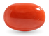 Red Coral
