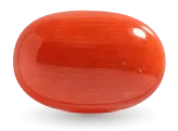 Red Coral