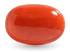 Red Coral