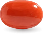 Red Coral