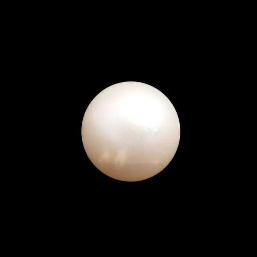 South Sea Pearl - 5.59 carats