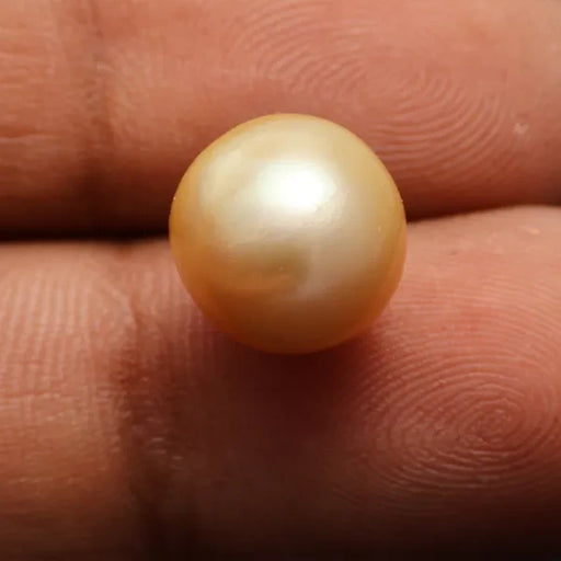South Sea Pearl - 8.84 carats