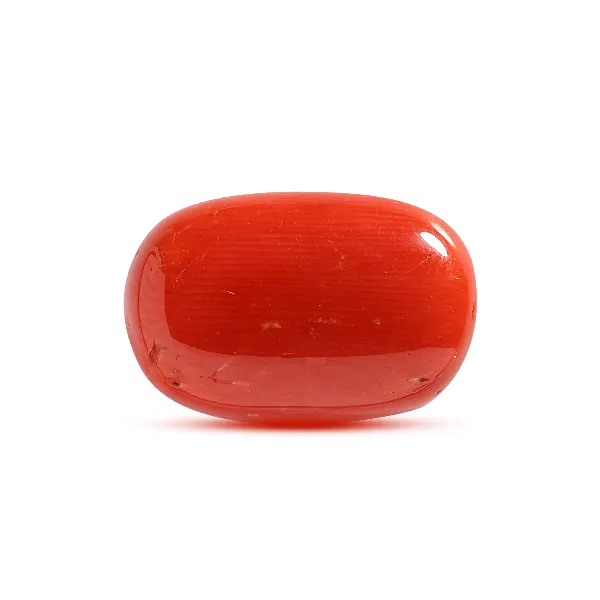 Red coral for scorpio on sale
